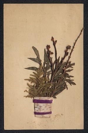 Trockenblumen-Ansichtskarte Moos und Blattwerk in einem Topf aus Birkenrinde