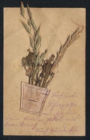 Trockenblumen-Ansichtskarte Getrocknete Gräser und Blumen in Vase aus Birkenrinde