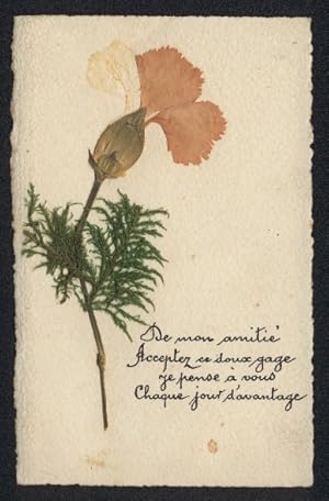 Trockenblumen-Ansichtskarte Getrocknete Blume und Moos