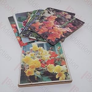 Webbs' Gardening Cards: Flowers from Seed