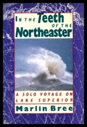 IN THE TEETH OF THE NORTHEASTER - A Solo Voyage on Lake Superior