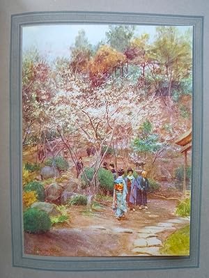 Seller image for Japanese Gardens for sale by Mike Park Ltd
