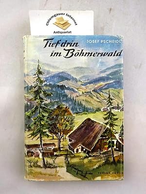 Seller image for Tief drin im Bhmerwald : Erinnerungen und Geschichten. for sale by Chiemgauer Internet Antiquariat GbR