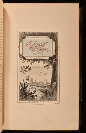 In the Trades, the Tropics, and the Roaring Forties by Lady In the Trades, the Tropics, and the Roaring Forties by Lady