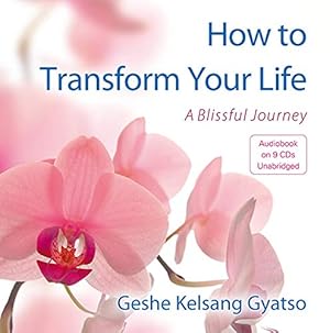 Bild des Verkufers fr How to Transform Your Life: A Blissful Journey zum Verkauf von WeBuyBooks