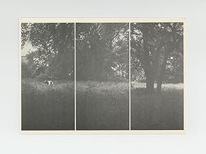 Exhibition postcard: Gerhard Richter: - Parkstück - (24 June-22 July 1973)