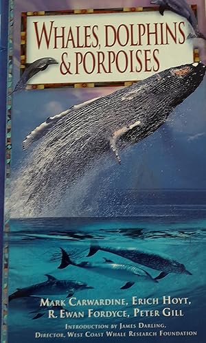 Whales Dolphins & Porpoises.