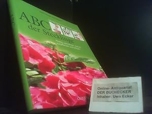 ABC der Stecklinge: Richtig vermehren, ziehen, auspflanzen und pflegen