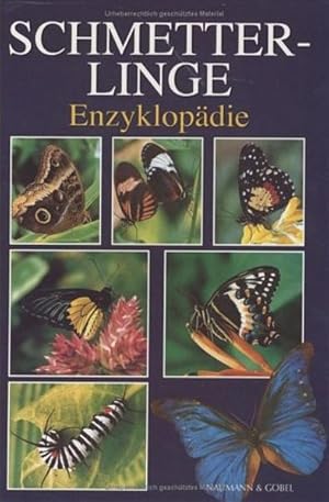 Enzyklopädie Schmetterlinge