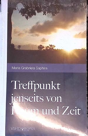 Bild des Verkufers fr Treffpunkt jenseits von Raum und Zeit. zum Verkauf von books4less (Versandantiquariat Petra Gros GmbH & Co. KG)