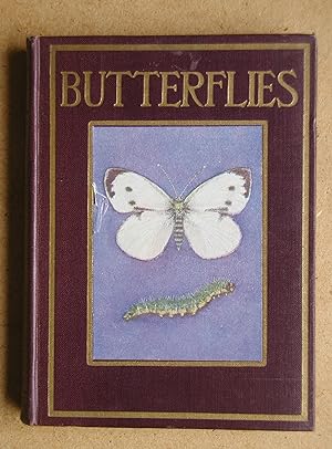 Butterflies and Moths.