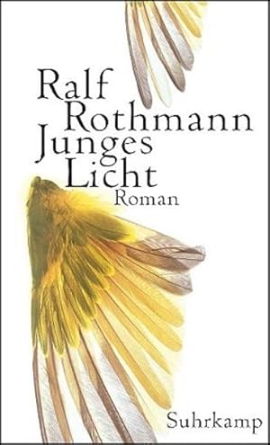 Seller image for Junges Licht: Roman for sale by Modernes Antiquariat - bodo e.V.