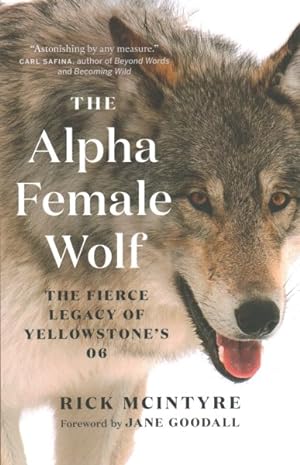 Seller image for Alpha Female Wolf for sale by GreatBookPrices