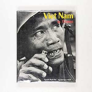 Viet Nam in Flames