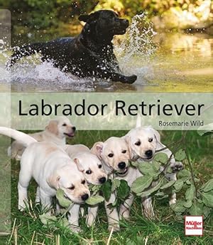 Seller image for Labrador Retriever (Hunderassen) for sale by Studibuch