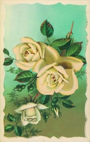 Glitzer Ansichtskarte / Postkarte Weiße Rosen