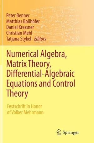 Seller image for Numerical Algebra, Matrix Theory, Differential-algebraic Equations and Control Theory : Festschrift in Honor of Volker Mehrmann for sale by GreatBookPricesUK