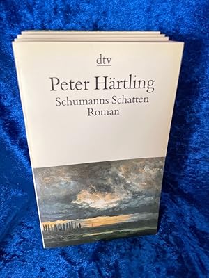 Seller image for Schumanns Schatten: Variationen ber mehrere Personen - Roman for sale by Antiquariat Jochen Mohr -Books and Mohr-