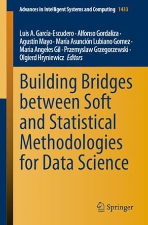Seller image for Building Bridges Between Soft and Statistical Methodologies for Data Science for sale by GreatBookPricesUK