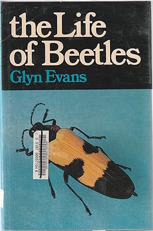 Life of Beetles