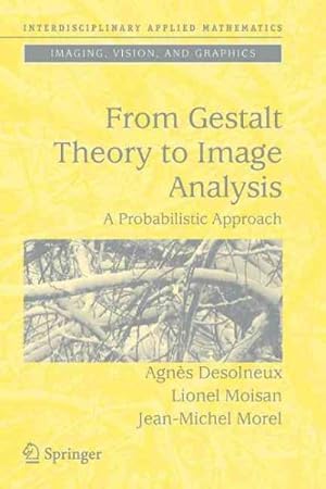 Imagen del vendedor de From Gestalt Theory to Image Analysis : A Probabilistic Approach a la venta por GreatBookPricesUK