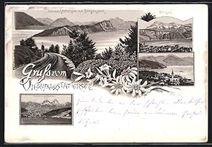 Lithographie Gersau, Panoramaansicht, Vierwaldstätter See mit Bürgensteck