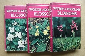 Wayside and Woodland Blossoms. A Guide to British Wild Flowers. 3 Volumes (First, Second & Third ...