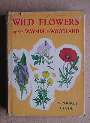 Wild Flowers of the Wayside and Woodland.