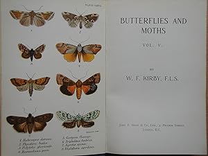Butterflies and Moths. Vol. V.