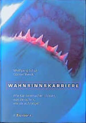 Immagine del venditore per Wahnsinnskarriere: Wie Karrieremacher tricksen, was sie opfern, wie sie aufsteigen venduto da Gerald Wollermann