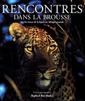 Rencontres dans la brousse - Raphael Ben-Shahar