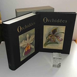 Orchidées, dictionnaire iconographique. Institut des Jardins. 1990.