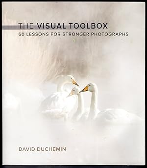 The Visual Toolbox: 60 Lessons for Stronger Photographs (Beginning/Intermediate Photography)