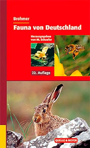 Bild des Verkufers fr Brohmer - Fauna von Deutschland: Ein Bestimmungsbuch unserer heimischen Tierwelt zum Verkauf von Studibuch