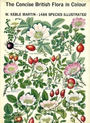 Seller image for Concise British Flora in Colour for sale by WeBuyBooks