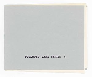 Untitled [Mist]. Polluted Lake Series 4