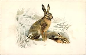 Künstler Ansichtskarte / Postkarte Zwei braune Hasen, Schnee - Meissner 2940