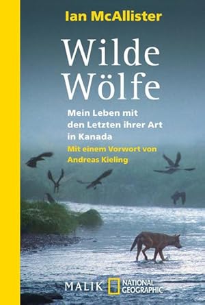 Bild des Verkufers fr Wilde Wlfe: Mein Leben mit den Letzten ihrer Art in Kanada zum Verkauf von Studibuch