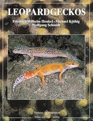Bild des Verkufers fr Leopardgeckos zum Verkauf von Gerald Wollermann