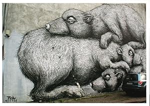 Warsaw Russian Bears Crush Transport Amazing Graffiti Street Art Postcard
