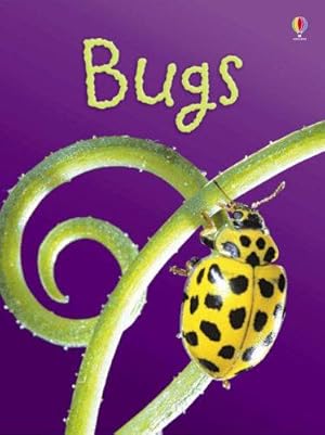 Seller image for Bugs (Usborne Beginners) for sale by WeBuyBooks 2