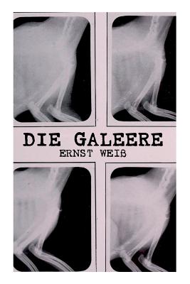 Seller image for Die Galeere (Paperback or Softback) for sale by BargainBookStores