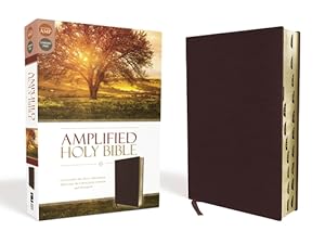 Seller image for Amplified-Am: Captures the Full Meaning Behind the Original Greek and Hebrew (Leather / Fine Binding) for sale by BargainBookStores