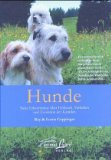 Seller image for Hunde: Neue Erkenntnisse ber Herkunft, Verhalten und Evolution der Kaniden for sale by primatexxt Buchversand