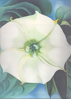 Seller image for GEORGIA O'KEEFFE One Hundred Flowers for sale by Neil Shillington: Bookdealer/Booksearch