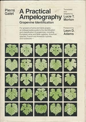 Seller image for A practical ampelography : grapevine identification for sale by CorgiPack