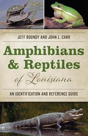 Immagine del venditore per Amphibians and Reptiles of Louisiana : An Identification and Reference Guide venduto da AHA-BUCH GmbH