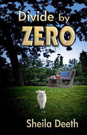 Imagen del vendedor de Divide by Zero a la venta por AHA-BUCH GmbH