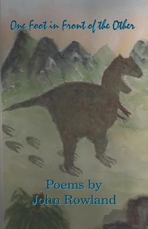 Immagine del venditore per One Foot in Front of the Other venduto da AHA-BUCH GmbH