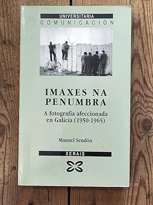 Imagen del vendedor de Imaxes na penumbra a la venta por Carmen Alonso Libros